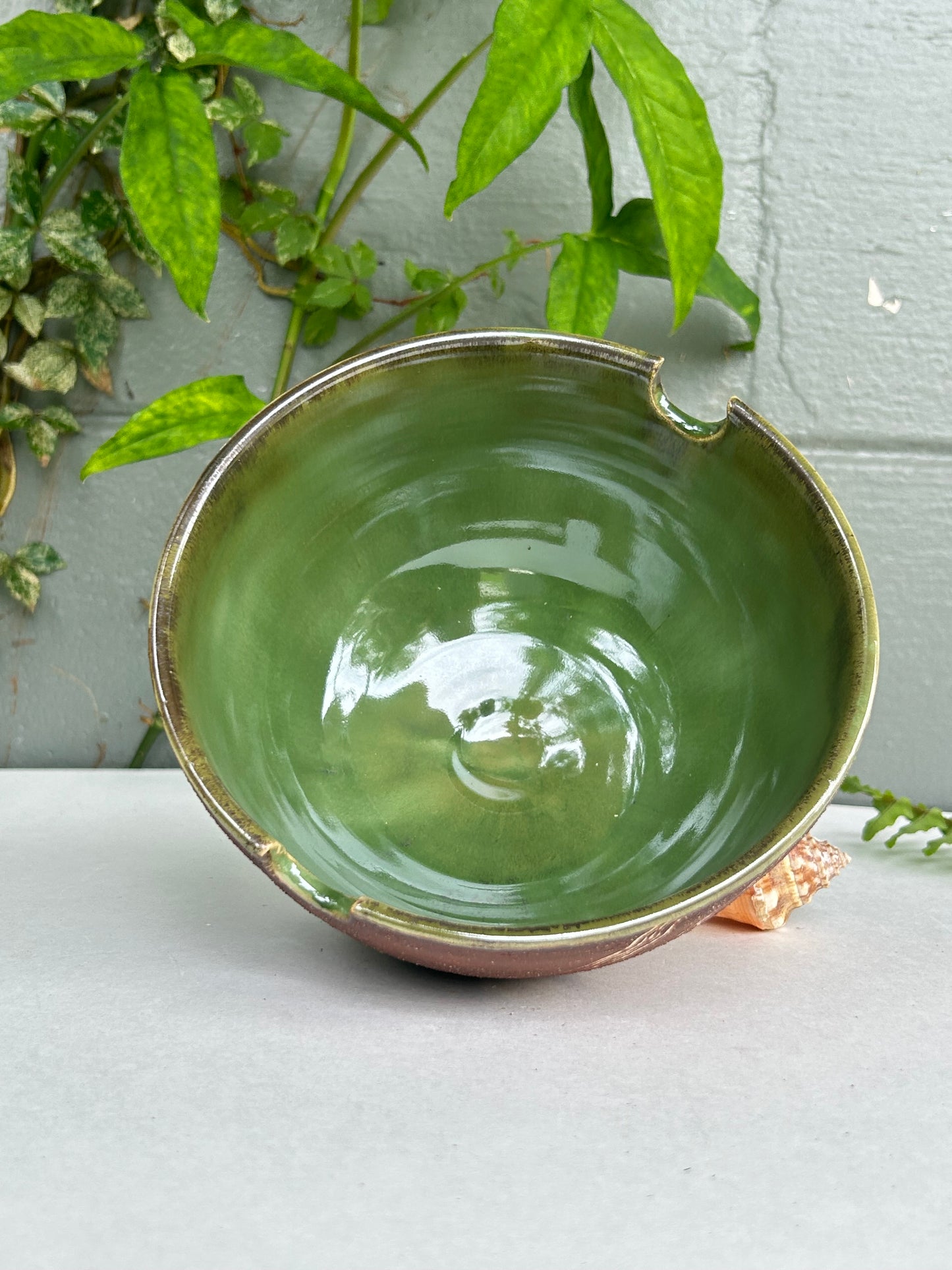 Ramen Bowls, Green